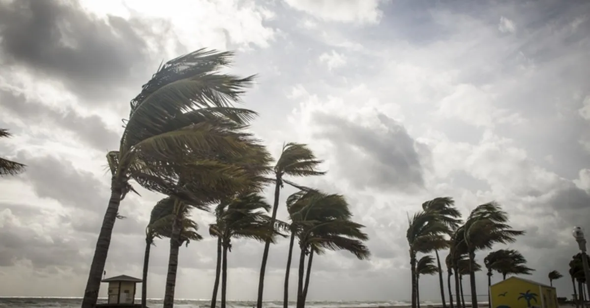 ruzgar olusuma neden olan etmenler nelerdir ruzgar nasil olusur son dakika egitim haberleri