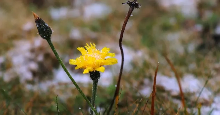 Kardüz Yaylası’na kar yağdı