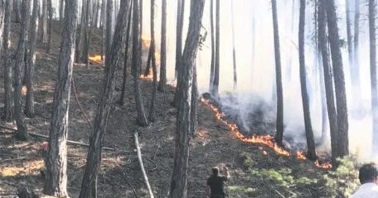 Soğuksu Milli Parkı’nda orman yangını