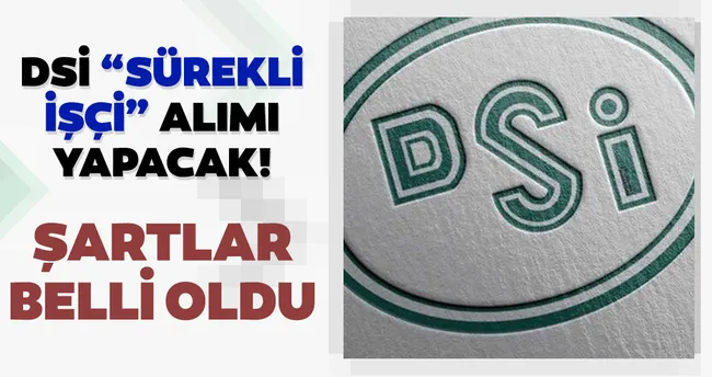 dsi personel alimi 2020 devlet su