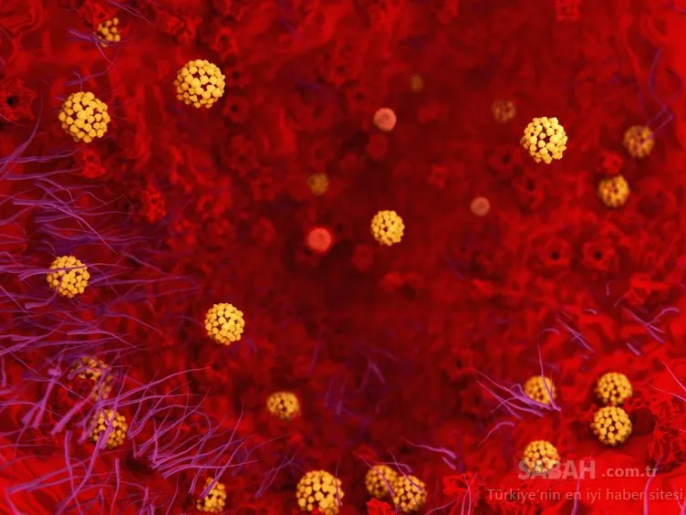Sürü bağışıklığı corona virüsüne COVID-19 karşı neden etkisiz kaldı? Bilim dünyasından cevap geldi