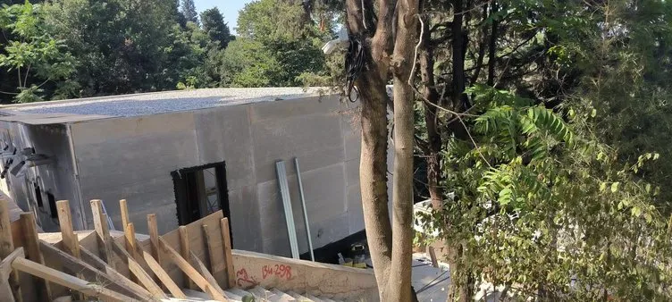 Vaniköy’deki skandalda yeni detay! Ağaç katliamı İBB’nin Basit Onarım Belgesi üzerinden yapılmış