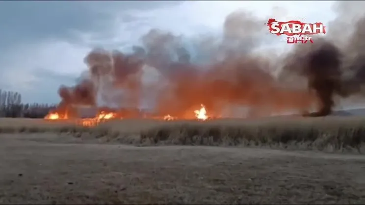 Sazlıktan geriye yanmış yuvalar kaldı | Video
