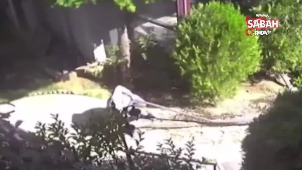 Tarabya'da feci ölüm! Villanın çatısından düşüp demire böyle saplandı | Video