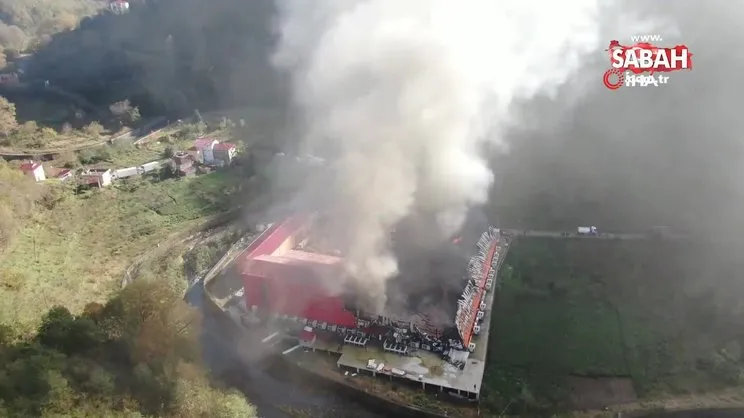 Balık tesisindeki yangın havadan görüntülendi | Video