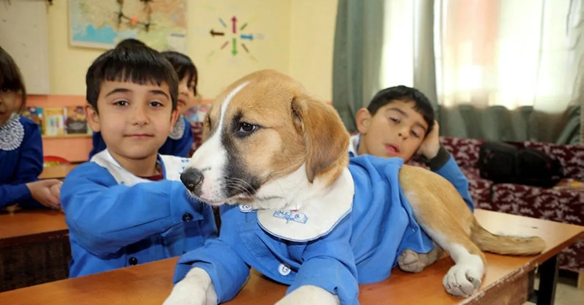 nedir belirtileri nelerdir