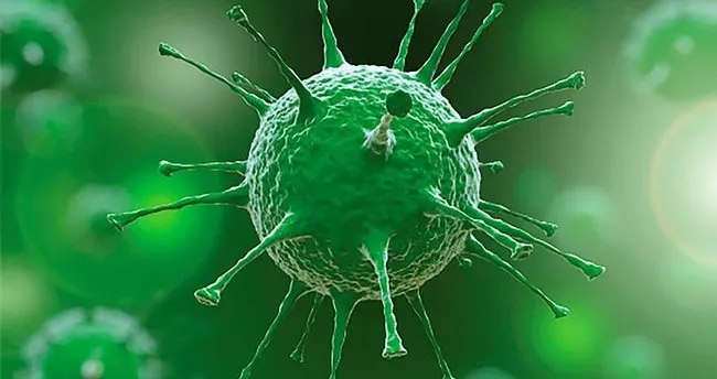 son dakika 1 agustos koronavirus tablosu paylasildi saglik bakanligi 1 agustos korona tablosu ile bugunku turkiye guncel vaka sayisi vefat sayisi verileri son dakika haberler