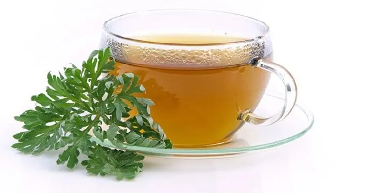 Form çayı faydaları nelerdir? Form bitki çayı zayıflatır mı, nelere iyi gelir?