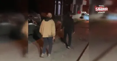 Cihangir’de korku dolu anlar kamerada: Tartıştığı kişinin üzerine Pitbull köpeğini saldırttı | Video
