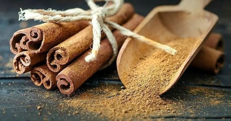 Tarçının faydaları nelerdir? Tarçın neye iyi gelir? - Sağlık Haberleri