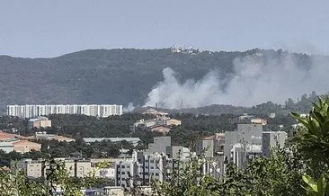 Güney Kore ordusunda alarm: Kalkıştan dakikalar sonra düştü