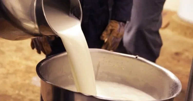 Toplanan süt miktarı Ekim’de yıllık yüzde 2.3 arttı