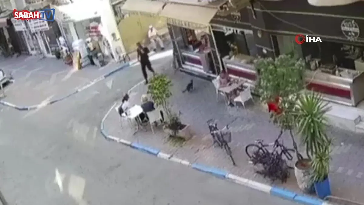 Sokak kedisine tekmeleyip ayağını kırdı: O anlar kamerada | Video