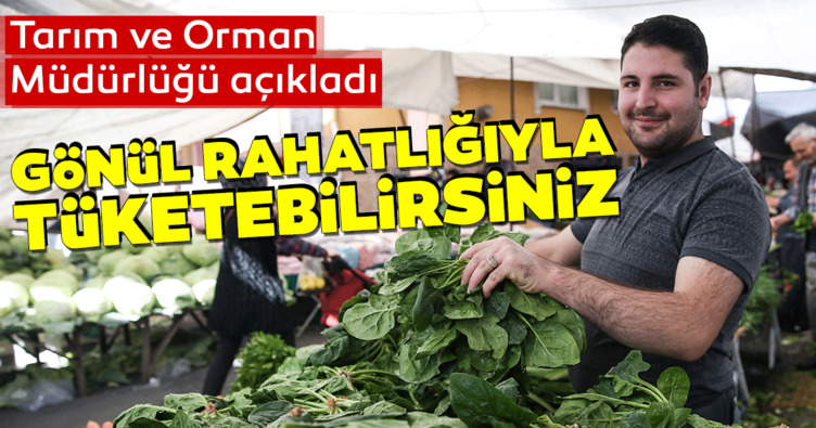 Son dakika haberi: İstanbul İl Tarım ve Orman Müdürlüğü’nden ’Ispanak’ açıklaması