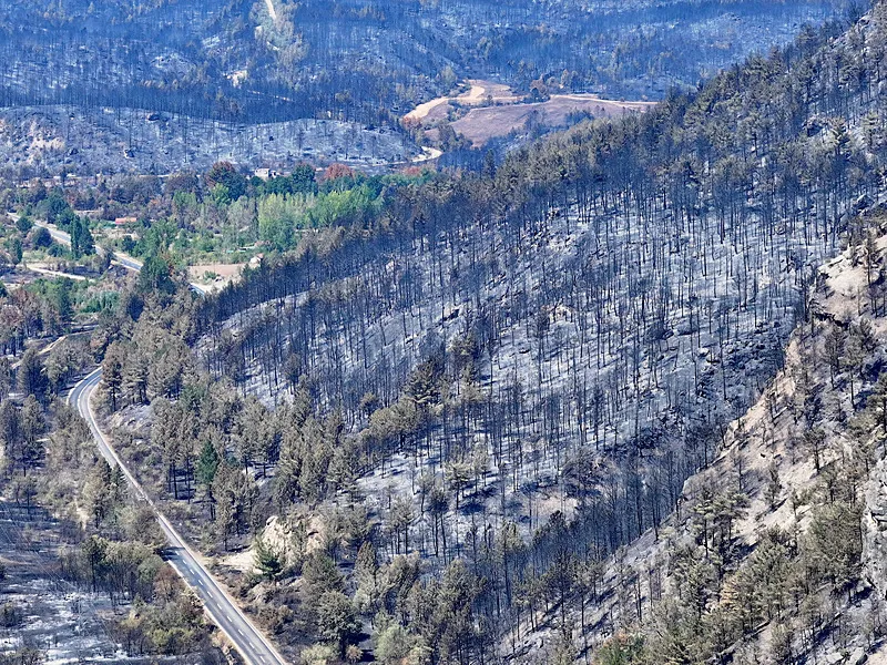 Ciğerlerimiz yandı, kül oldu! Karabük'te yangında zarar gören ormanlık alan böyle görüntülendi
