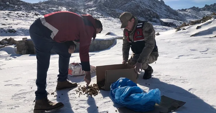 Jandarma yürekleri ısıttı