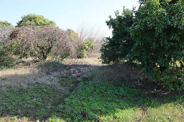 Adana’da vahşet: 2 çocuk annesi sevgilisi tarafından infaz edildi! Ağaçlık alana götürülüp...
