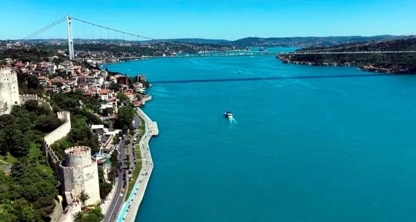 yunus-surusu-turkuaz-renkli-istanbul-bogazinda-sorf-yapti-1779973347212.jpg
