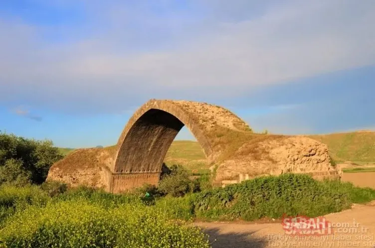 Türkiye’nin En Genç ve En Yaşlı Şehri açıklandı! Sıralamaya o ilimiz damga vurdu