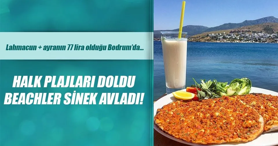 Bodrum Da Beachler Sinek Avladi Magazin Haberleri