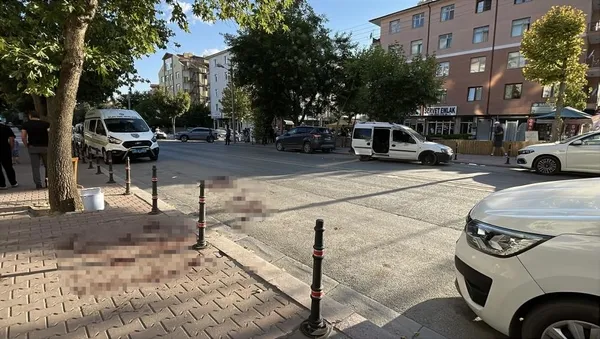 1786524576840.jpg