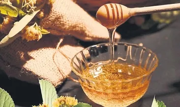 AB Türk lezzetlerine hayran