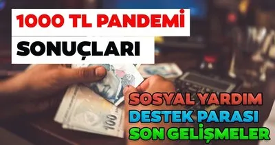 E Devlet ile 3.faz pandemi sonuçları: 1000 TL sosyal yardım desteği başvuruları nasıl ve nereden yapılır? SON DAKİKA - 3.faz 1000 TL sosyal yardım parası sonuç sorgula!