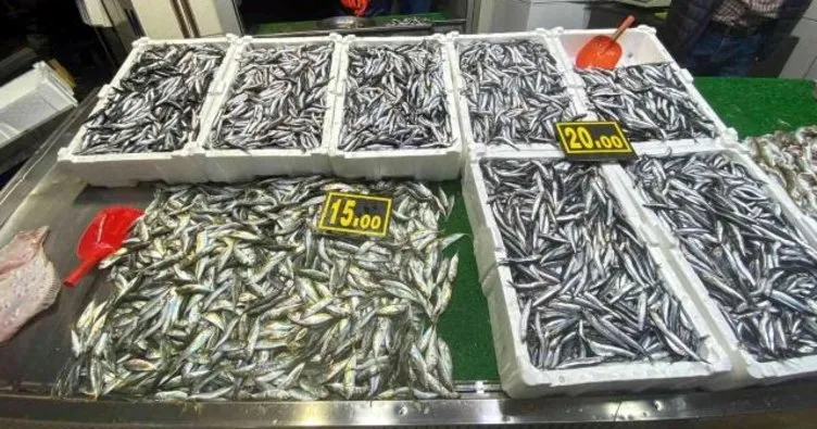 Balık bollaştı fiyatlar tezgahlara yansıdı