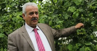 Trabzon'dan 7 ayda 442,7 milyon dolarlık fındık ihraç edildi #trabzon