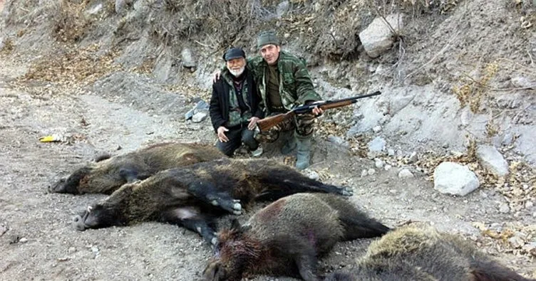 3 köyde 48 domuz öldürüldü