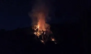 Son dakika: Kartal’da orman yangını