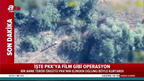 Son dakika haberi | Bitlis'te annenin oğlunu PKK'dan kurtardığı ormanlık alandaki o anlar kamerada | Video
