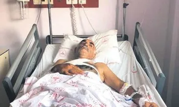 Motosikletle ayıya çarptılar