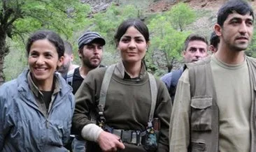 PKK’lı kadın terörist Dozgin Temo hakkında karar
