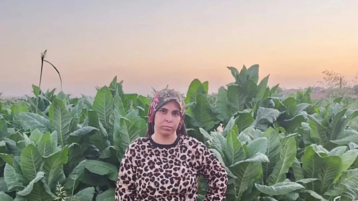 Diyarbakır Bismil'de tarla çalışması sırasında fenalaşan Rojda Akın'ın hastanede hayatını kaybetmesi haberi.