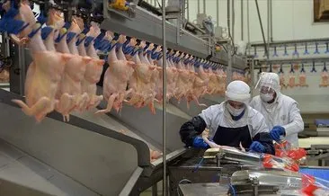 Tavuk eti üretimi yıllık bazda yüzde 9,4 azaldı