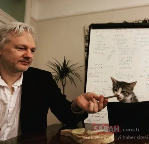 Julian Assange tutuklandı! Julian Assange ne kadar ceza alacak?