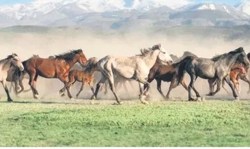 7/24 şehirde yaşam