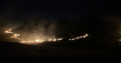 Şanlıurfa’da ormanlık alanda yangın çıktı