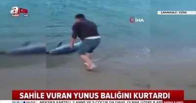 Sahile vuran yunus balığını kurtardı