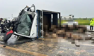 Siirt'te feci kaza! Koyun yüklü kamyonet ile otomobil çarpıştı: 2 ölü, 3 ağır yaralı #siirt