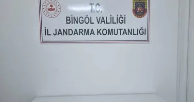 Bingöl’de 1.410 kök kenevir ele geçirildi #bingol
