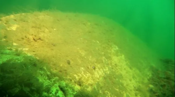 Uçak enkazı görünümü