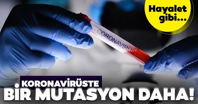 Son dakika haberi | Koronavirüste bir mutasyon daha: Bilim insanlarından uyarı...