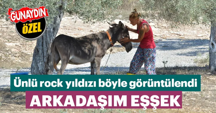 Arkadaşım eşek