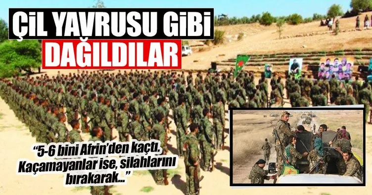 Çil yavrusu gibi dağılan YPG/PKK’lı teröristlerden kaçamayanlar hala Afrin’de!