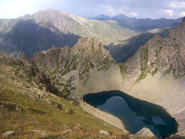 Doğu Karadeniz'de 117 tane var