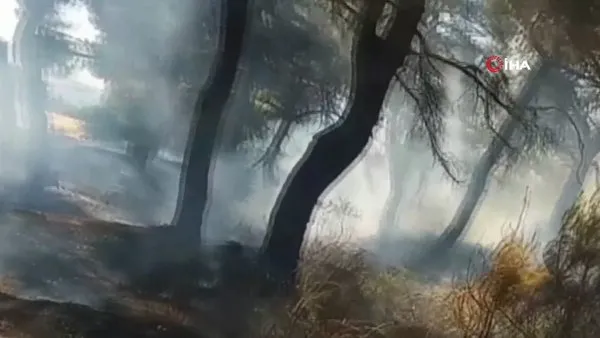 Son Dakika: Saros Körfezi'nde orman yangını | Video