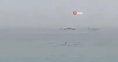 Halk plajında denize giren adamı diri diri yuttu! Mısır’da Rus turistin parçaları köpekbalığının midesinden çıkartıldı