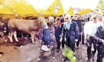 Kurbanlıkların çoğu satıldı #istanbul